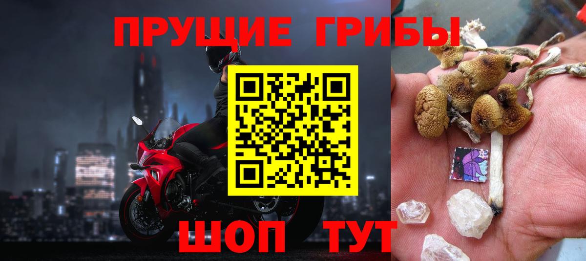 Псилоцибиновые грибы мицелий Сыктывкар