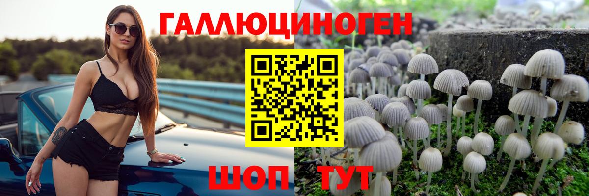 Сыктывкар  Галлюциногенные грибы мухоморы  Вход с VPN 